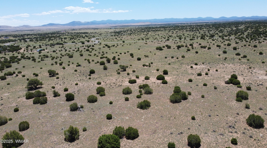 DJI_0152