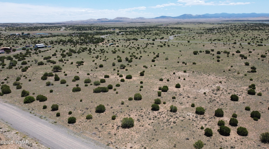 DJI_0153