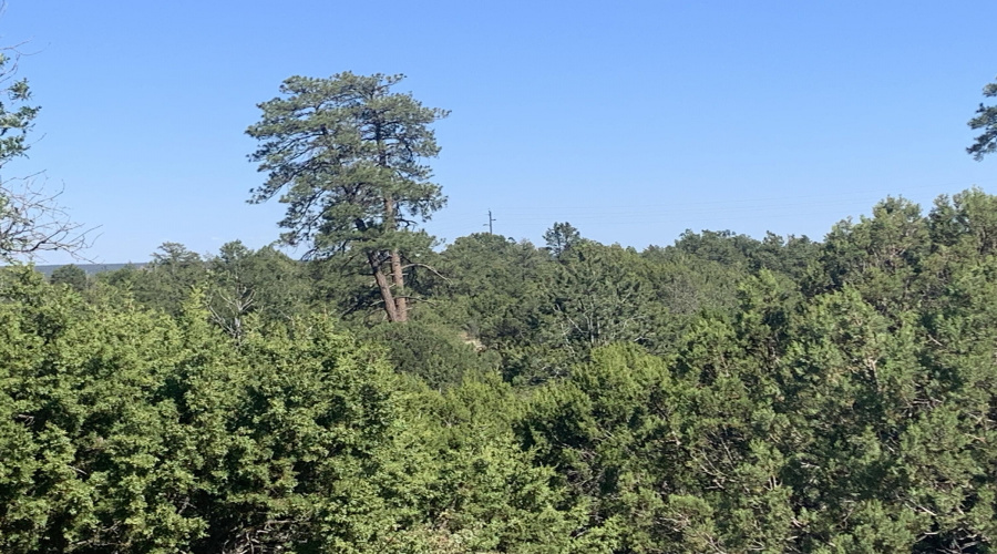 Long Range View