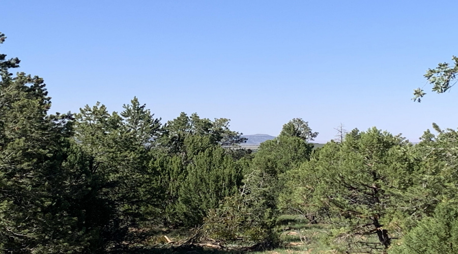 Long Range View