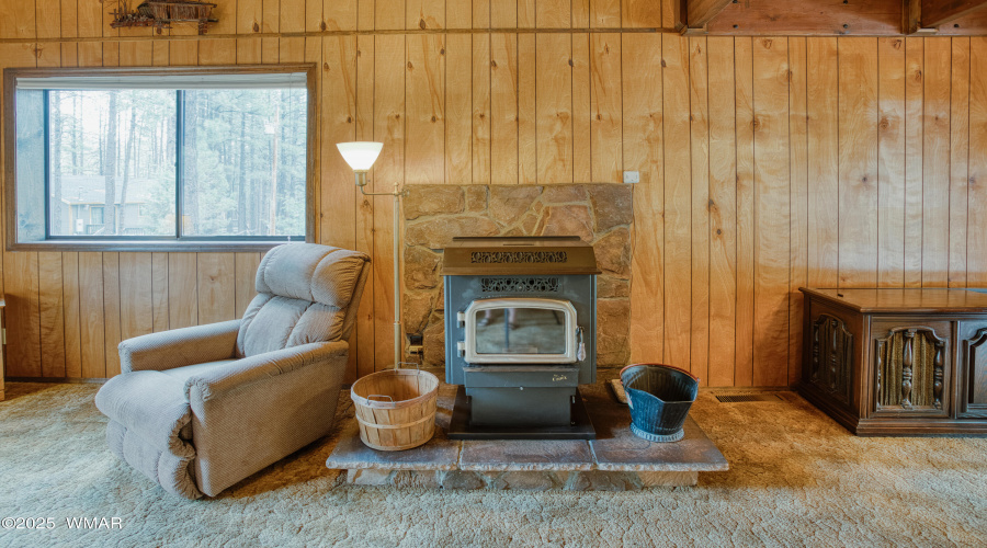 Cozy Pellet Stove