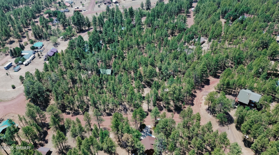 Your Little Cabin in the Woods