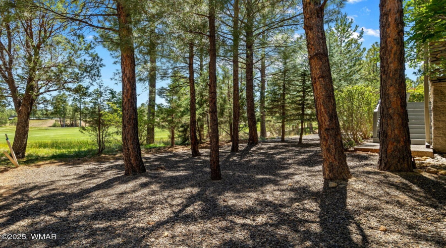 3990SugarPineLoop-ShowLow-AZ-40