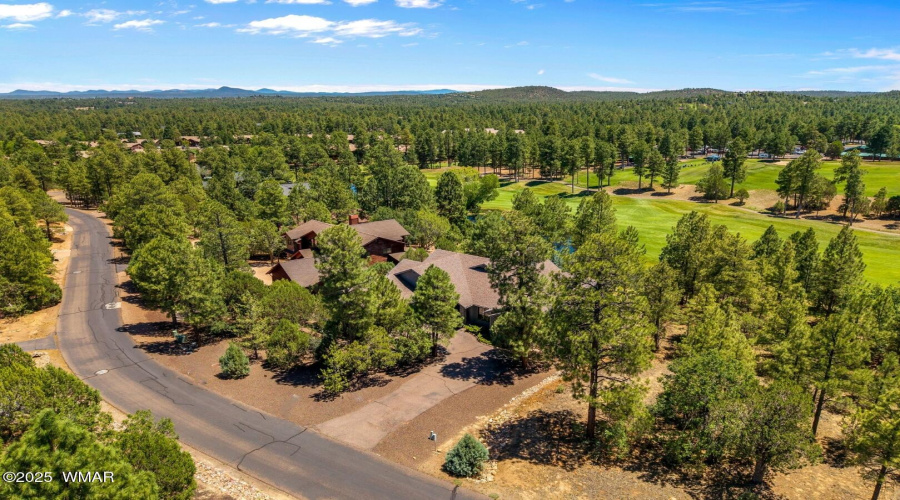3990SugarPineLoop-ShowLow-AZ-43