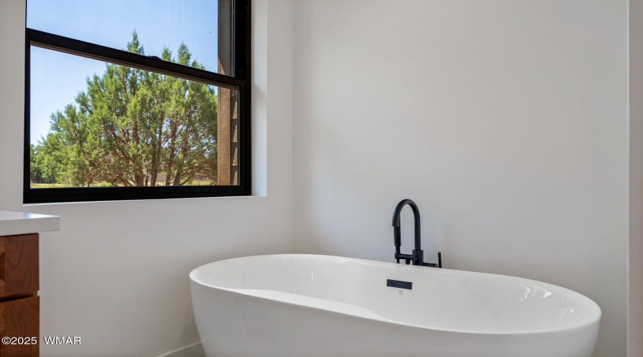 Master bath tub