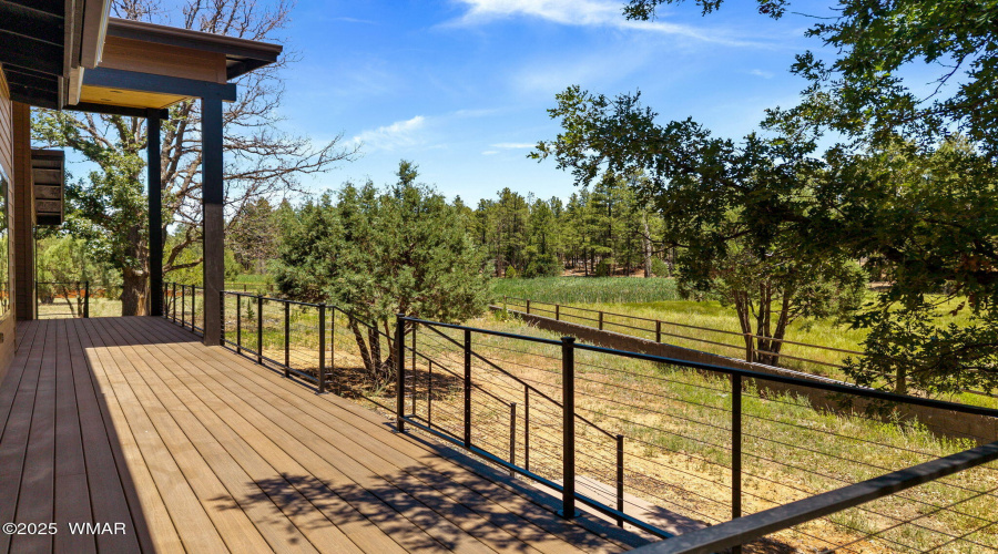 Beautiful meadow views
