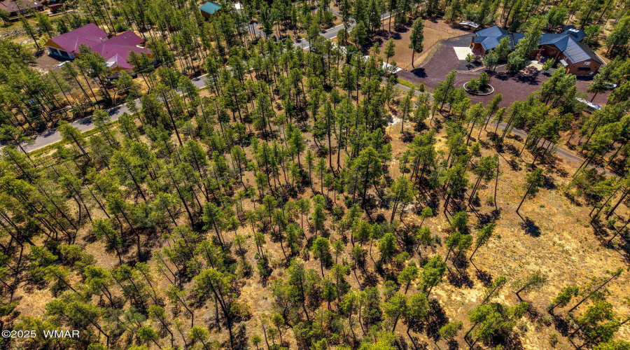 Parcel212-42-069C-Lakeside-AZ-7