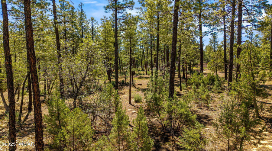 Parcel212-42-069C-Lakeside-AZ-8