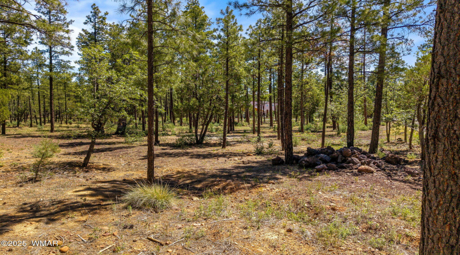 Parcel212-42-069C-Lakeside-AZ-9