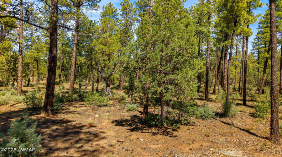 Parcel212-42-069C-Lakeside-AZ-1
