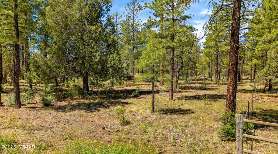 Parcel212-42-069C-Lakeside-AZ-2