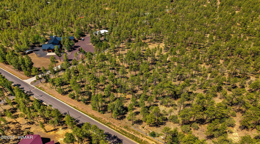 Parcel212-42-069C-Lakeside-AZ-3