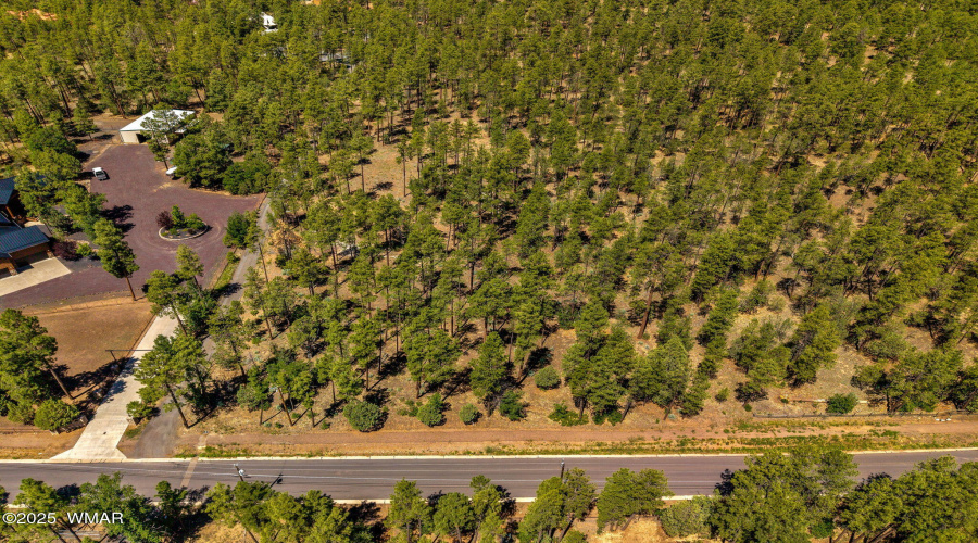 Parcel212-42-069C-Lakeside-AZ-4