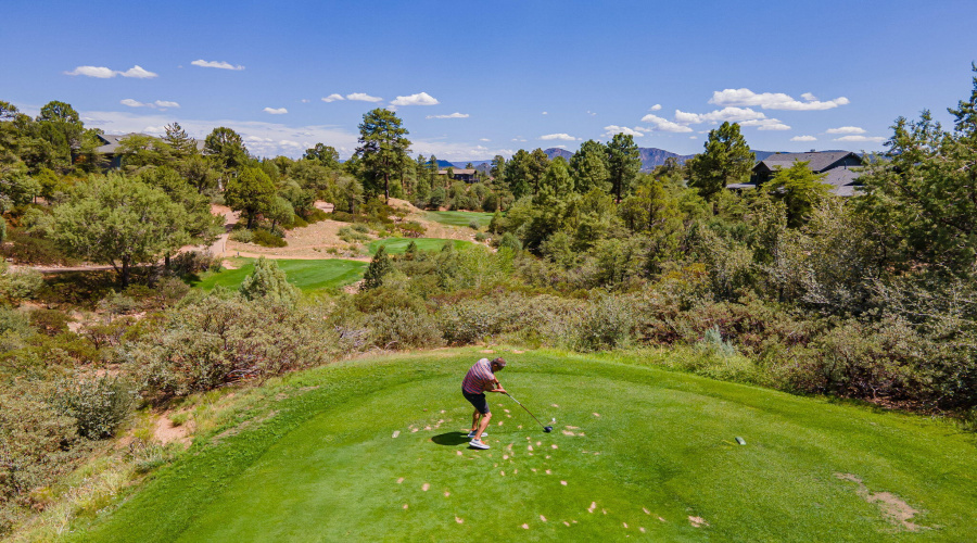 76-web-or-mls-Indian Paintbrush - Luxury
