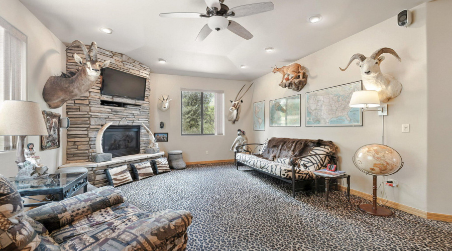 45-web-or-mls-Indian Paintbrush - Luxury