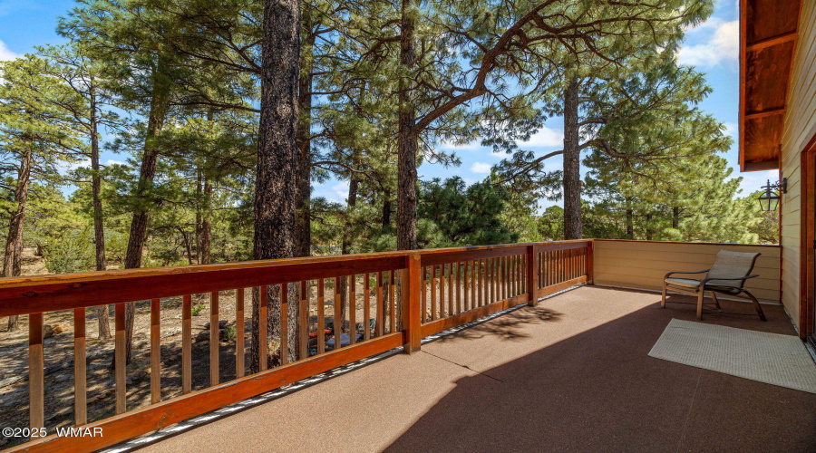 1481LowMountainTrail-Heber-AZ-22