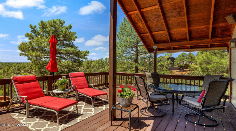 1481LowMountainTrail-Heber-AZ-33