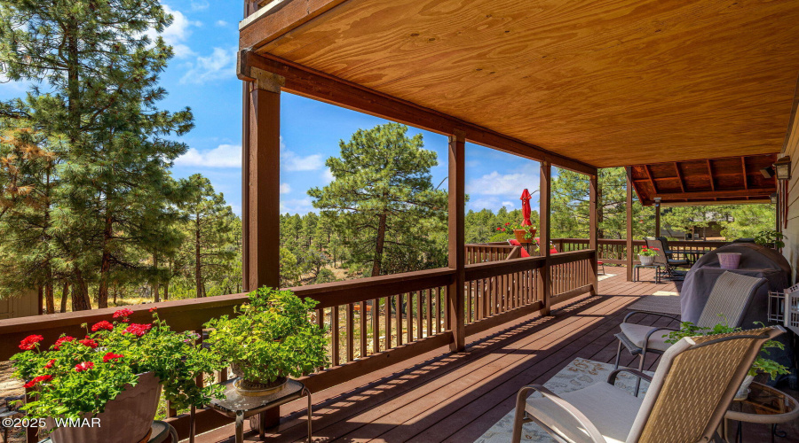 1481LowMountainTrail-Heber-AZ-35