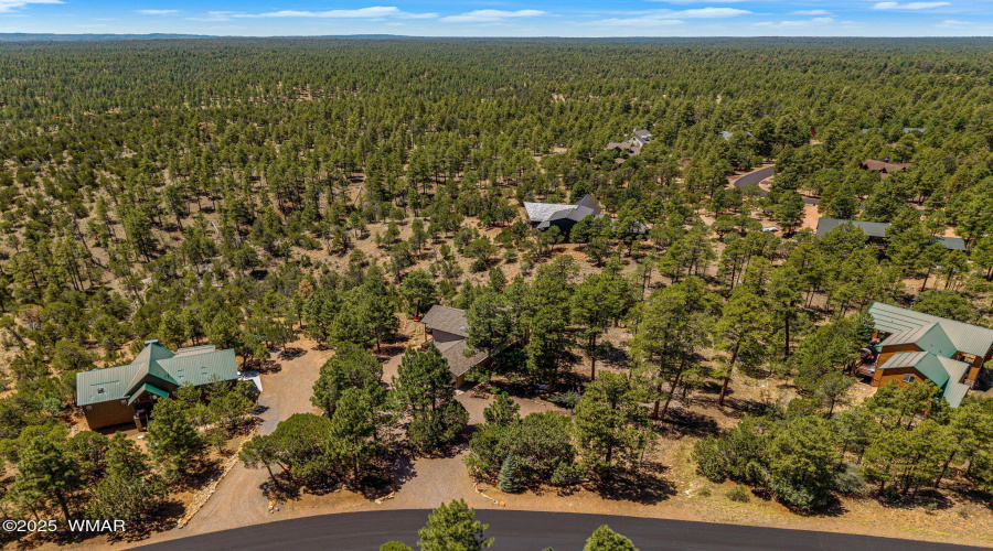 1481LowMountainTrail-Heber-AZ-40