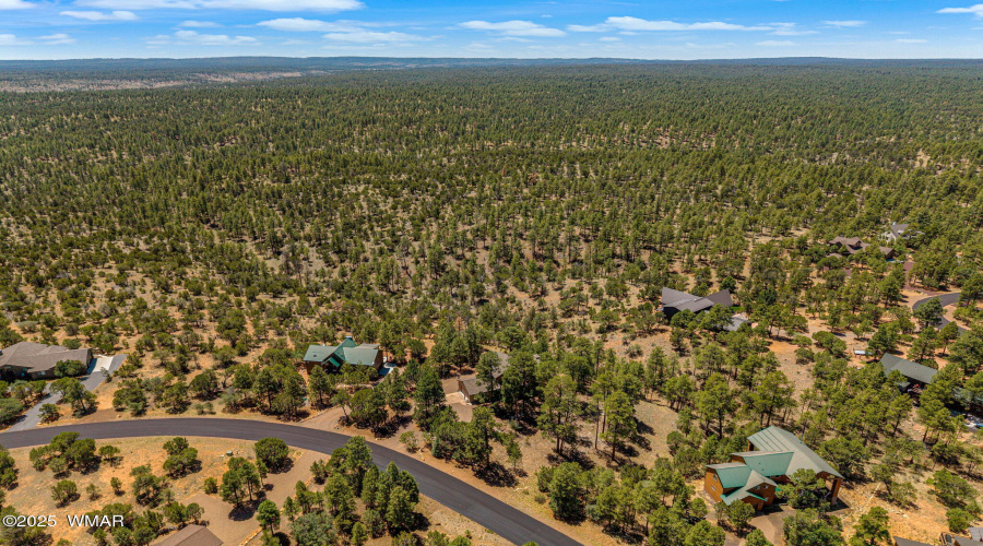 1481LowMountainTrail-Heber-AZ-41