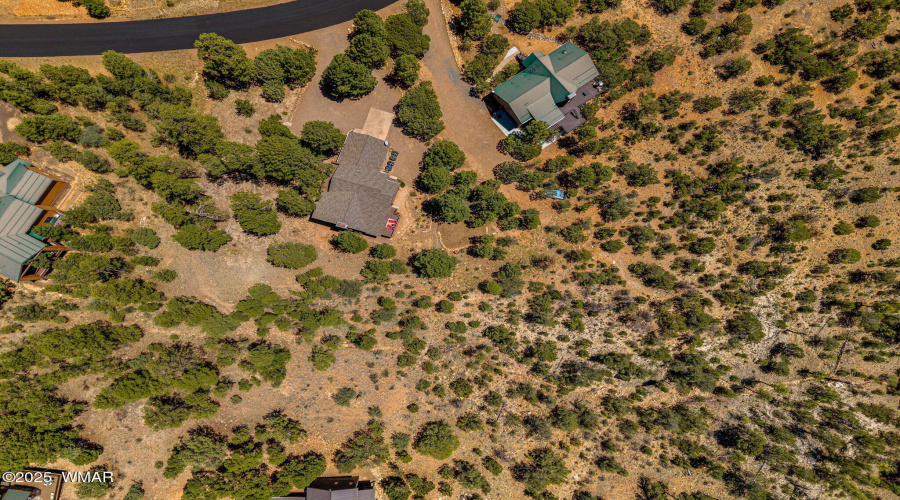 1481LowMountainTrail-Heber-AZ-42