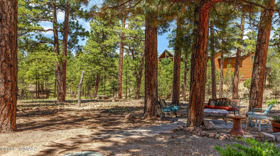 1481LowMountainTrail-Heber-AZ-4