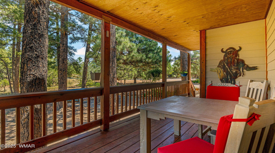 1481LowMountainTrail-Heber-AZ-6