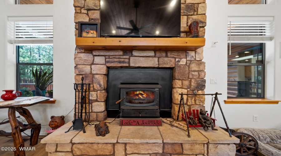 Wood Burning Insert