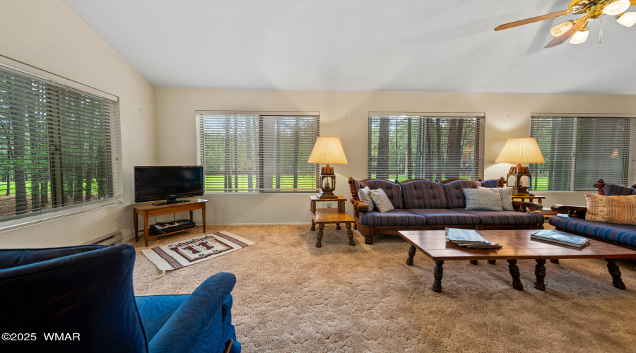 7456 Geronimo Road, Pinetop, AZ 85935