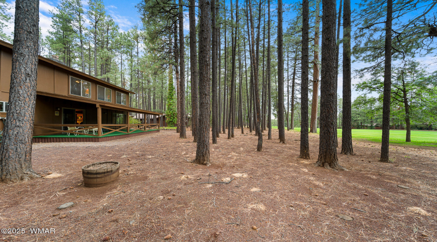 7456 Geronimo Road, Pinetop, AZ 85935