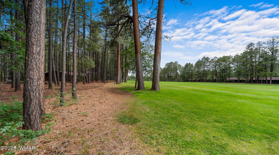 7456 Geronimo Road, Pinetop, AZ 85935
