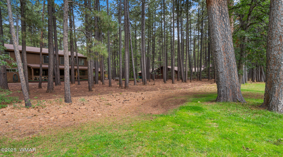 7456 Geronimo Road, Pinetop, AZ 85935