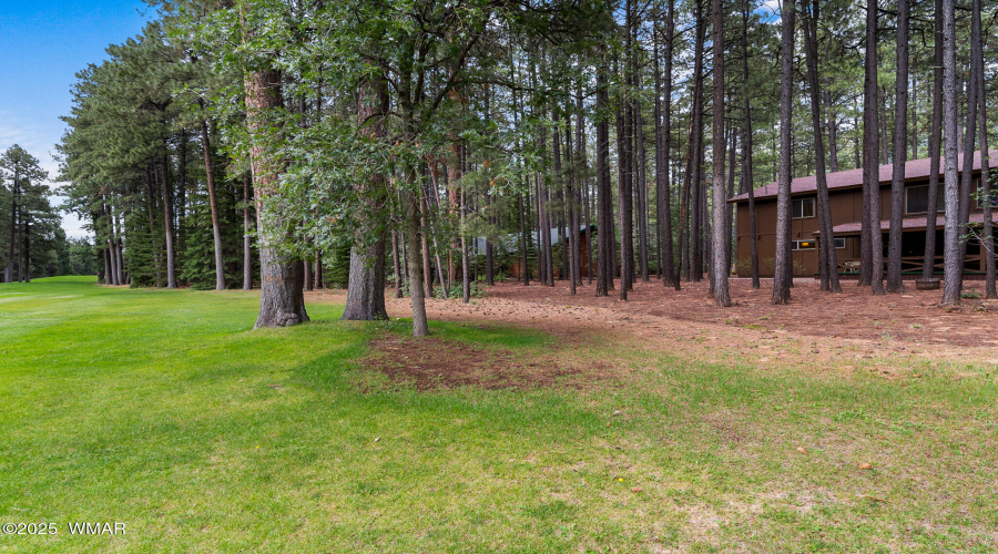 7456 Geronimo Road, Pinetop, AZ 85935