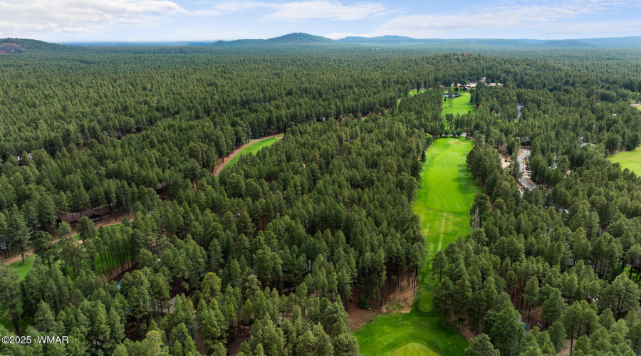 7456 Geronimo Road, Pinetop, AZ 85935