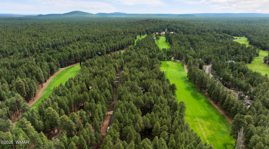 7456 Geronimo Road, Pinetop, AZ 85935