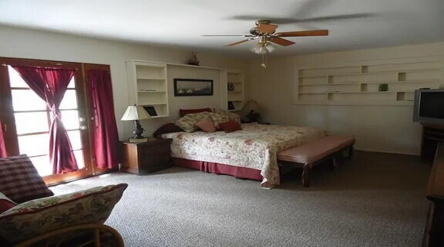PICTURE 5