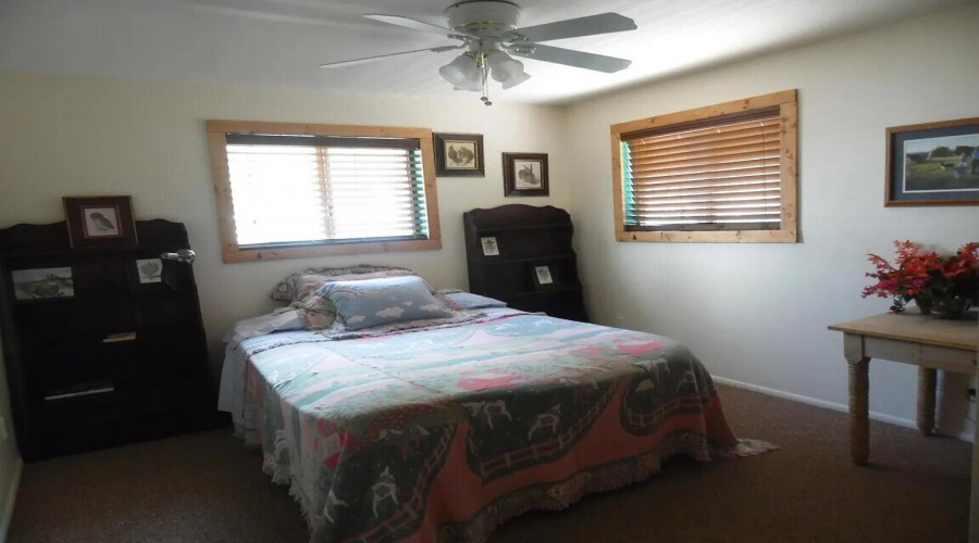 PICTURE 7