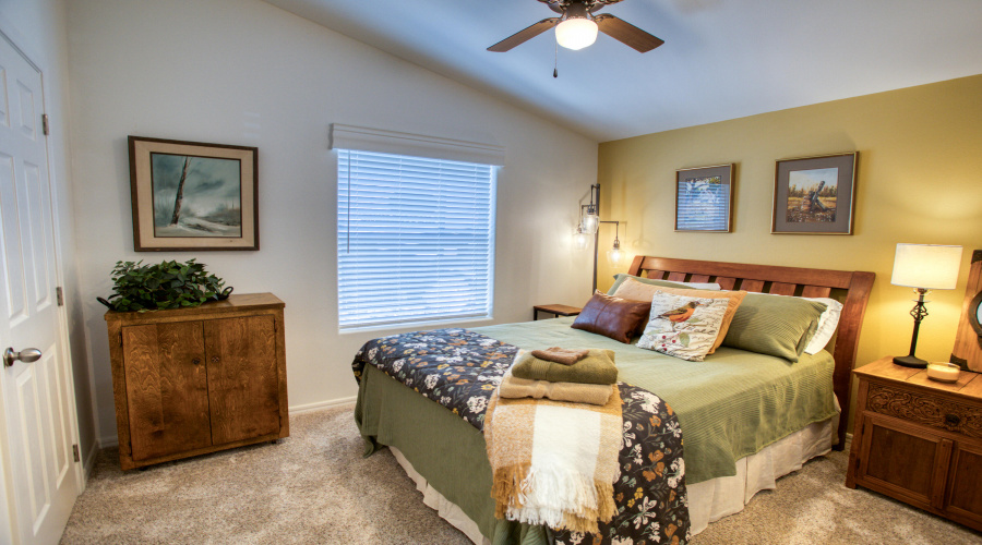 Paxmanphoto_PAX_8653