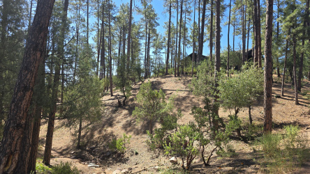 401 N Grapevine Dr, Payson, AZ