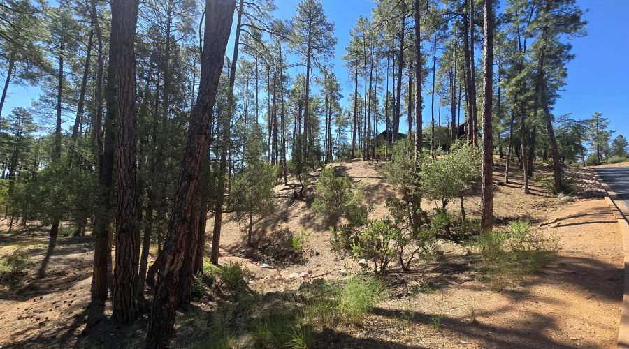 Chaparral Pines Lot 525
