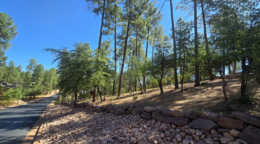 Lot 525