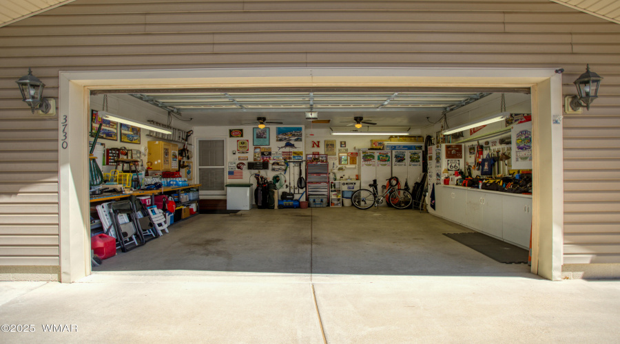 Paxmanphoto_PAX_8621
