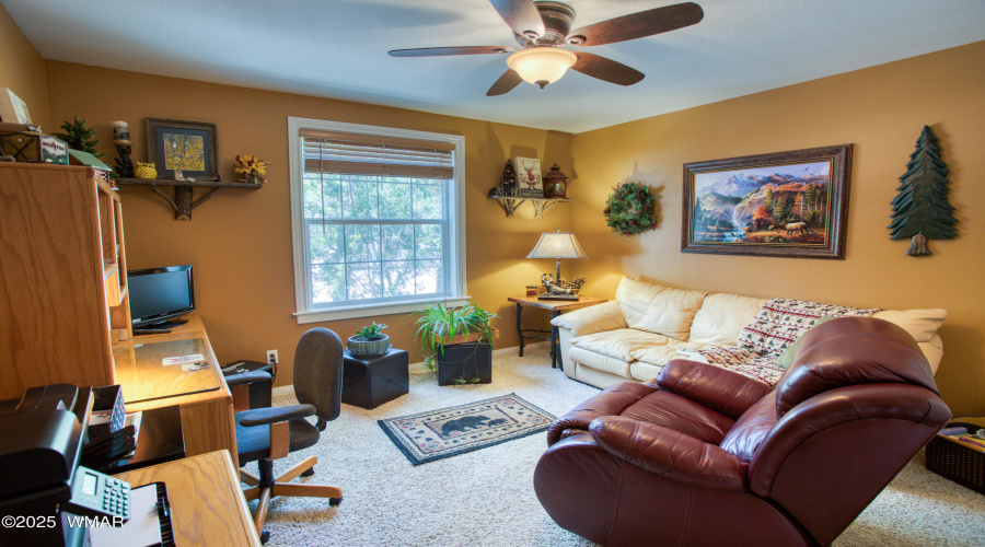 Paxmanphoto_PAX_8538