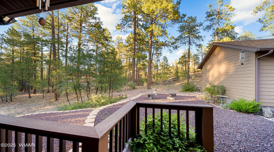 Yard View