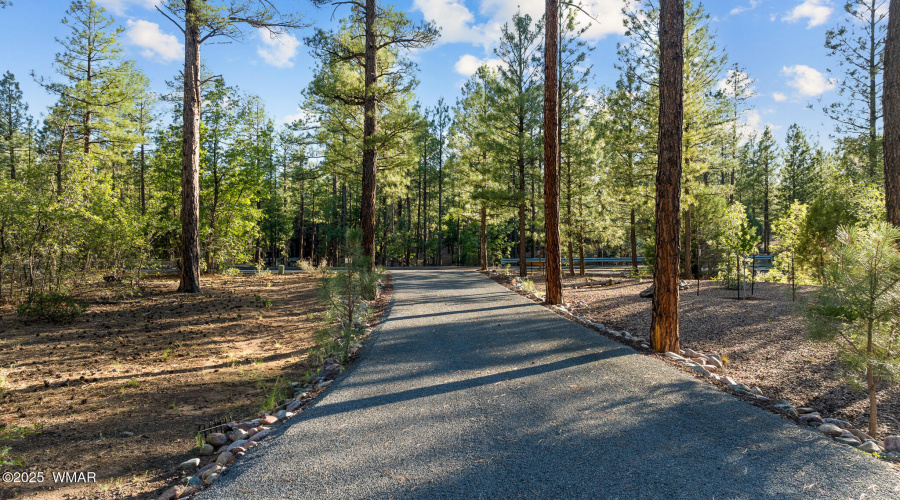 Driveway