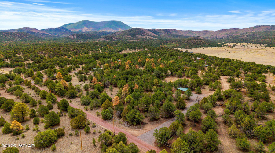 Parcel102-39-003M-Nutrioso-AZ-11