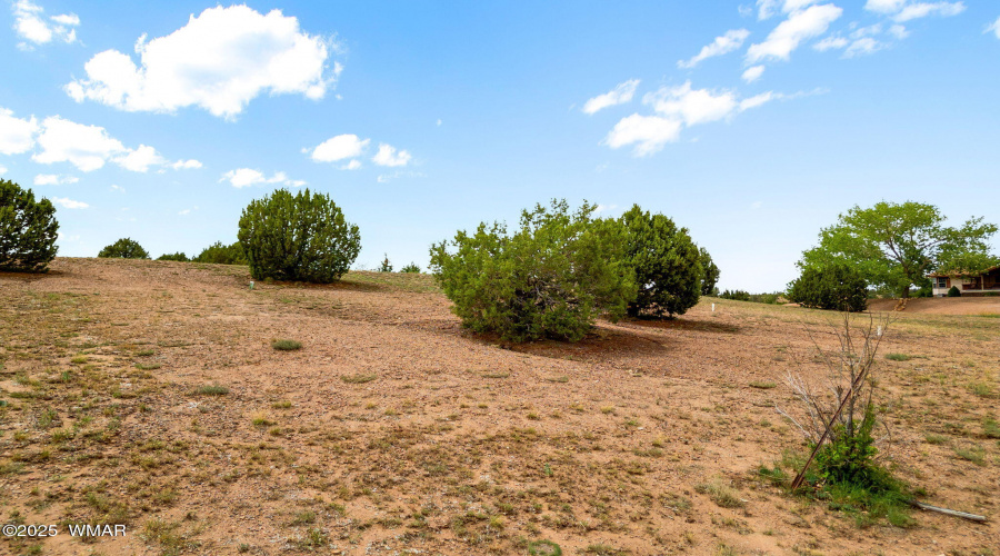 1188OutlawPass-ShowLow-AZ-15