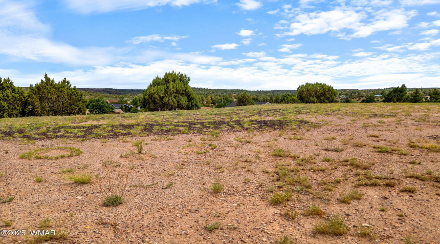 1182OutlawPass-ShowLow-AZ-4