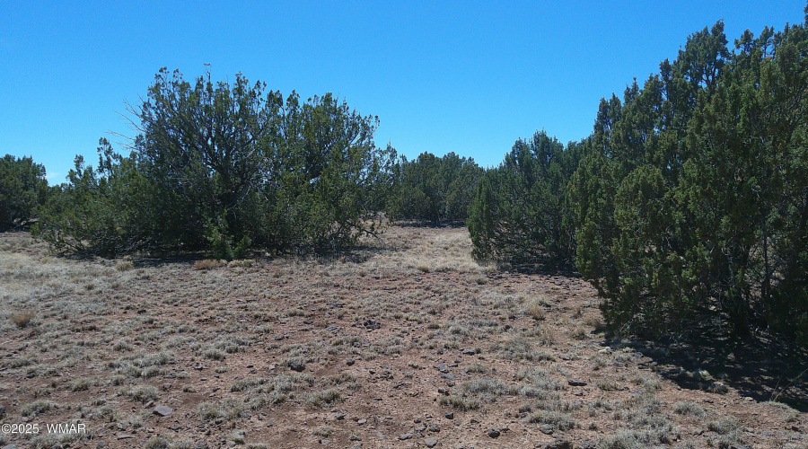 DSCF0178