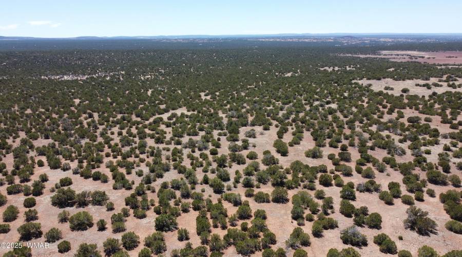 DJI_0168